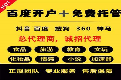 百度竞价排名机制：成功案例与策略探讨